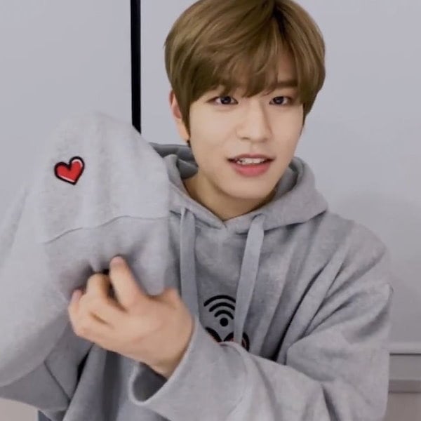 Stray Kids - Stray Kids スキズ　パーカー フーディー  パピーム　スンミン Qoo10] 【Stray Kidsスンミン着用】WA