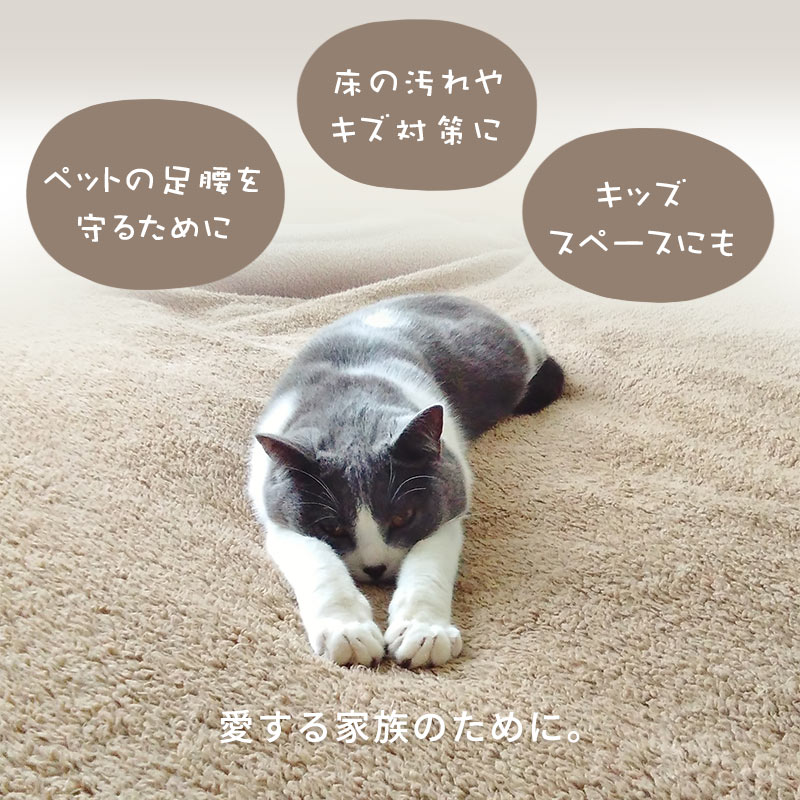 ペットにやさしいカーペット 4.5畳 261X261cm ラグ カーペット タマズライフ 正方形 江戸間4.5帖 四畳半 E45-TAMASLIFE