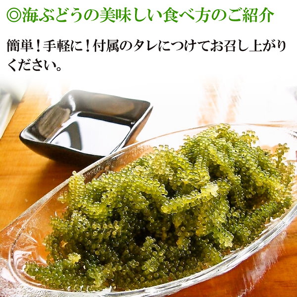 Qoo10] 送料無料沖縄産海ぶどう100g(クビレヅ