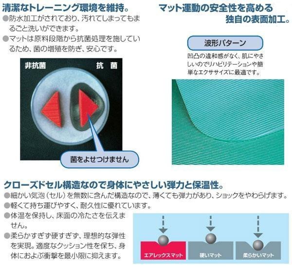 AIREX(R) エアレックス マット フィットネスマット(波形パターン) FITLINE180 フィットライン180 AML-480 C・チャコール