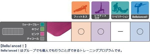 AIREX(R) エアレックス マット フィットネスマット(波形パターン) FITLINE180 フィットライン180 AML-480 C・チャコール