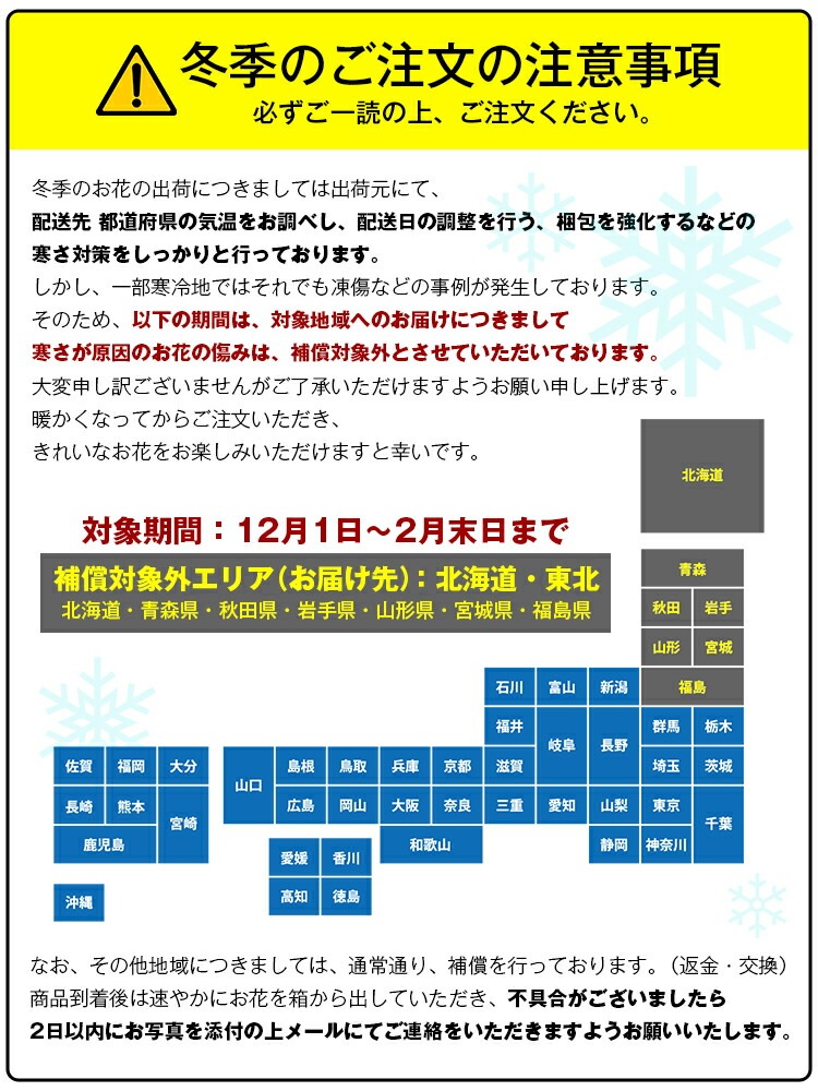 【華てまり】胡蝶蘭 ミディ 3本立 (鉢も付属) 熊本県産(なかがわ農園) 常温便 同梱不可 指定日不可 【華てまり】胡蝶蘭 ミディ 3本立 (鉢も付属) 熊本県産(なかがわ農園) 常温便 同梱不可 指定日不可