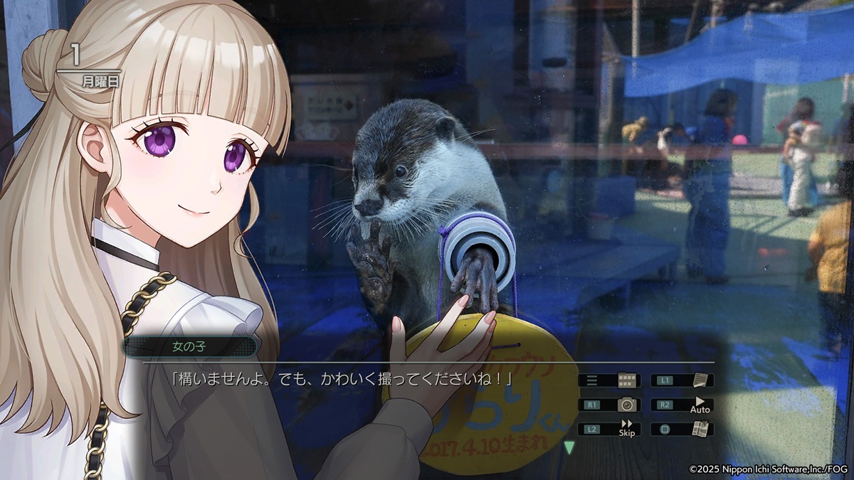 日本一ソフトウェア 【Switch】風雨来記5 初回限定版 NISJ-02008 NSW フウウライキ5 ゲンテイ 日本一ソフトウェア 【Switch】風雨来記5 初回限定版 NISJ-02008 NSW フウウライキ5 ゲンテイ