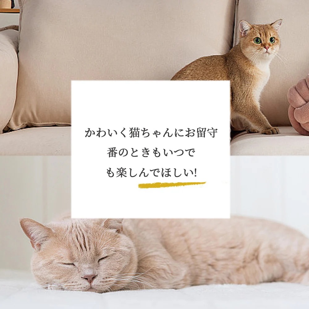 即日発送猫 ケージ キャットケージ 3段 幅広設計 自由組み合わせ トレー付き 猫ドア付き ハンモック付き 大型 猫ゲージ 高級感 おしゃれ キャットハウス ネコ ハウス 多段 留守番 保護 脱走防止 即日発送猫 ケージ キャットケージ 3段 幅広設計 自由組み合わせ トレー付き 猫ドア付き ハンモック付き 大型 猫ゲージ 高級感 おしゃれ キャットハウス ネコ ハウス 多段 留守番 保護 脱走防止