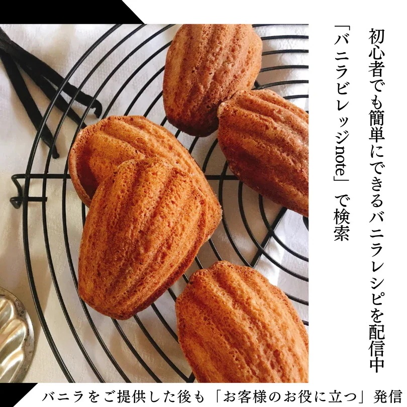 完全無添加 バニラ蜜 500g 完全無添加 バニラ蜜 500g