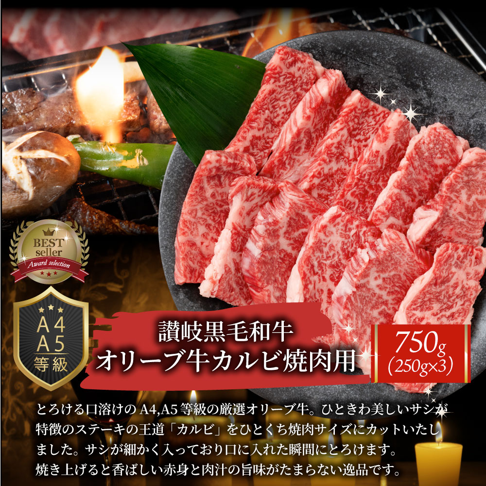 景品 目録 特選黒毛和牛オリーブ牛目録 ポッキリ 特大A3 パネル 目録付 直送でお届け 景品 目録 特選黒毛和牛オリーブ牛目録 ポッキリ 特大A3 パネル 目録付 直送でお届け