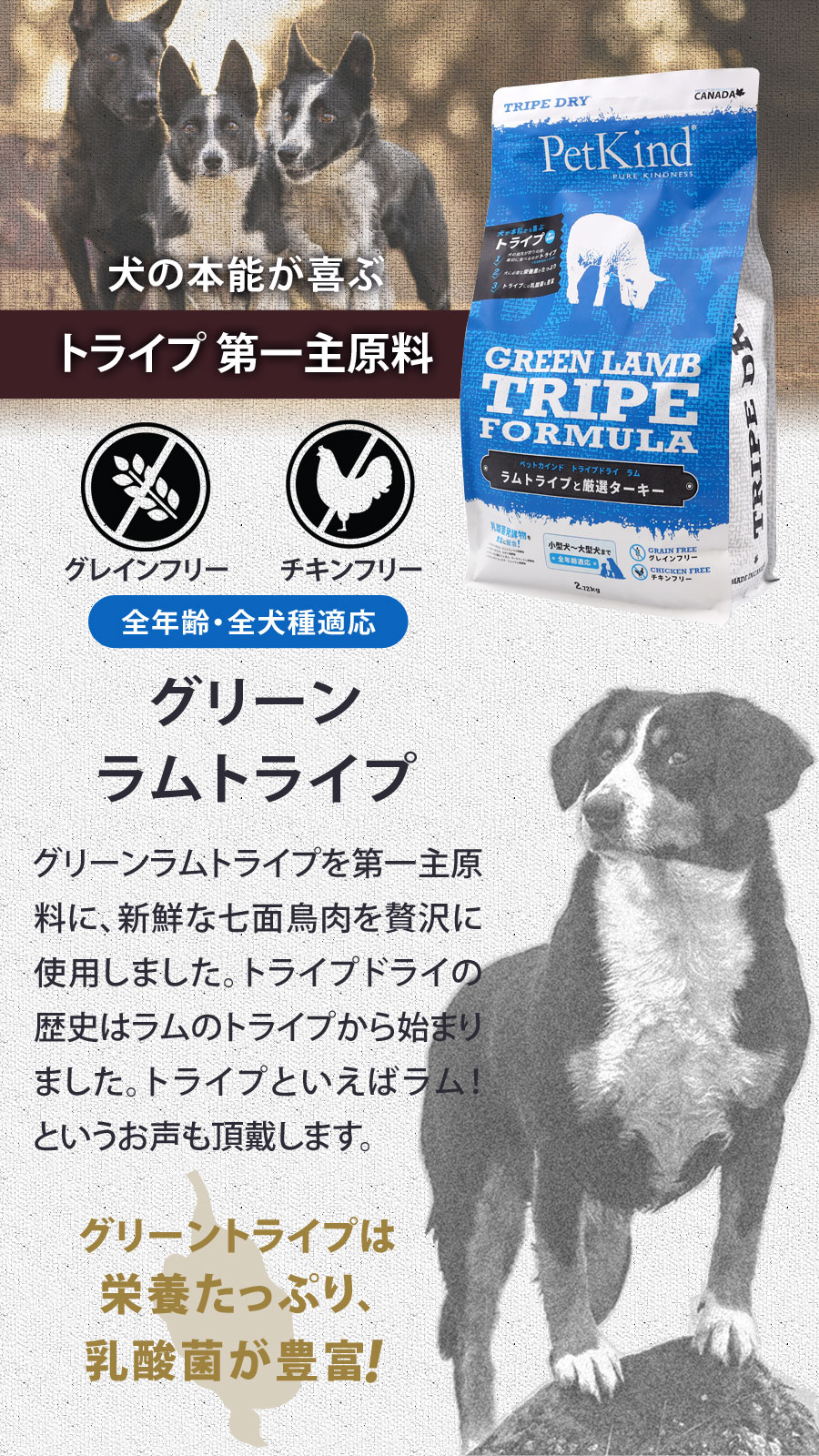 トライプドライ ドッグフード グリーンラムトライプ 11.34kg【国産鹿レッグボーン 1本Mサイズ付き】 トライプドライ ドッグフード グリーンラムトライプ 11.34kg【国産鹿レッグボーン 1本Mサイズ付き】