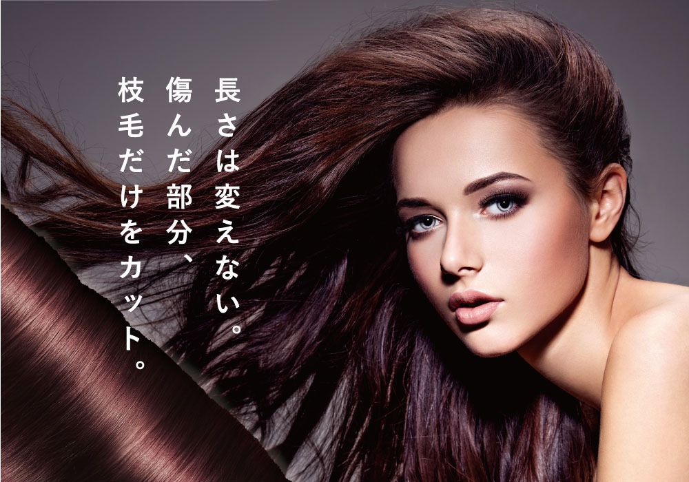 スプリットエンダープロ2 公式代理店 枝毛カッター 枝毛 カット スプリットエンダー プロ2 枝毛 スプリットエンダープロ2 公式代理店 枝毛カッター 枝毛 カット スプリットエンダー プロ2 枝毛