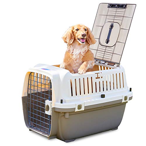 サイズ:L60 【OFT】 ペットケンネル ファーストクラス トップオープンクリア L60Tクリア サイズ:L60 【OFT】 ペットケンネル ファーストクラス トップオープンクリア L60Tクリア