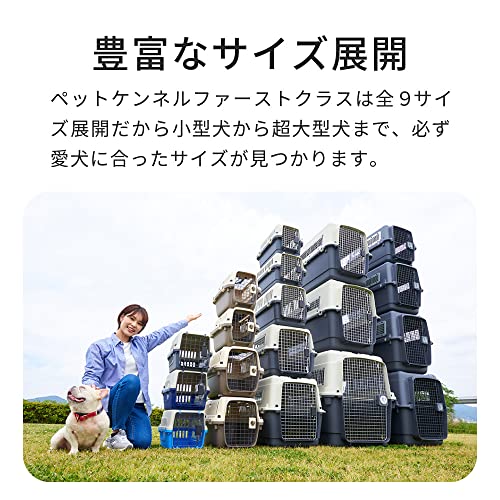 サイズ:L60 【OFT】 ペットケンネル ファーストクラス トップオープンクリア L60Tクリア サイズ:L60 【OFT】 ペットケンネル ファーストクラス トップオープンクリア L60Tクリア