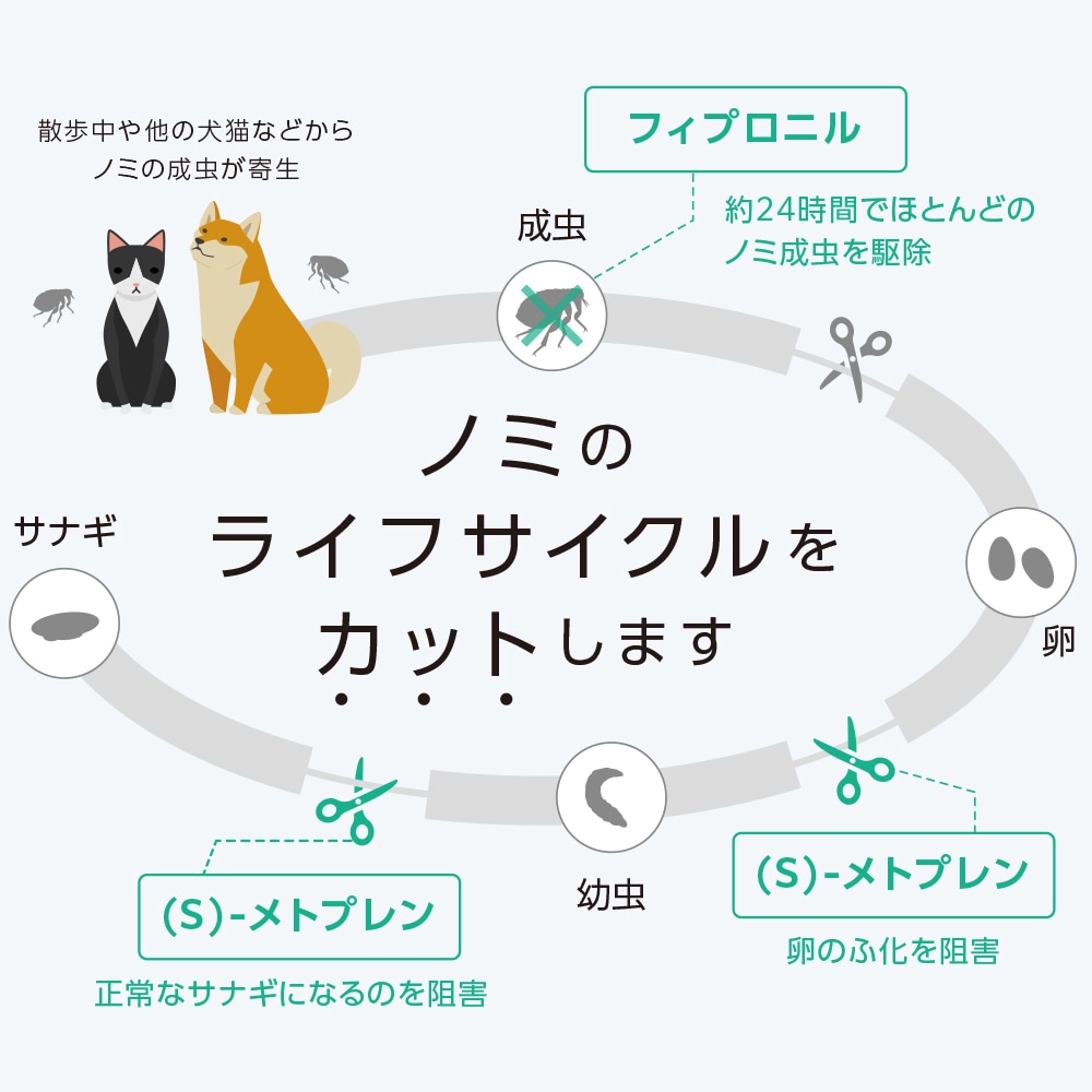 【ネコポス(同梱不可)】【4箱セット】ベッツワン ドッグプロテクトプラス 犬用 L 3本 (動物用医薬品)