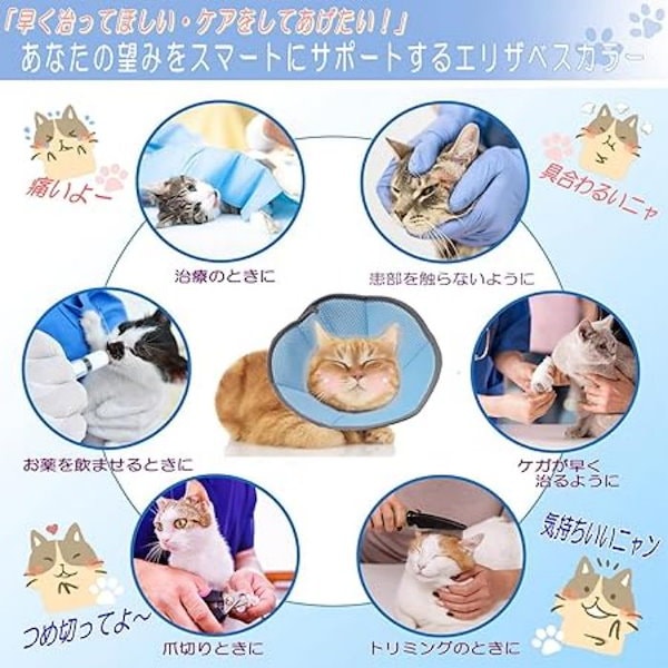 Qoo10] 売切必至エリザベスカラー 猫 エリザベス