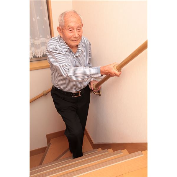 (10個セット)階段手すり滑り止め 『どこでもグリップ』ボール形 亜鉛合金 直径32mm AG シロクマ 日本製 (10個セット)階段手すり滑り止め 『どこでもグリップ』ボール形 亜鉛合金 直径32mm AG シロクマ 日本製