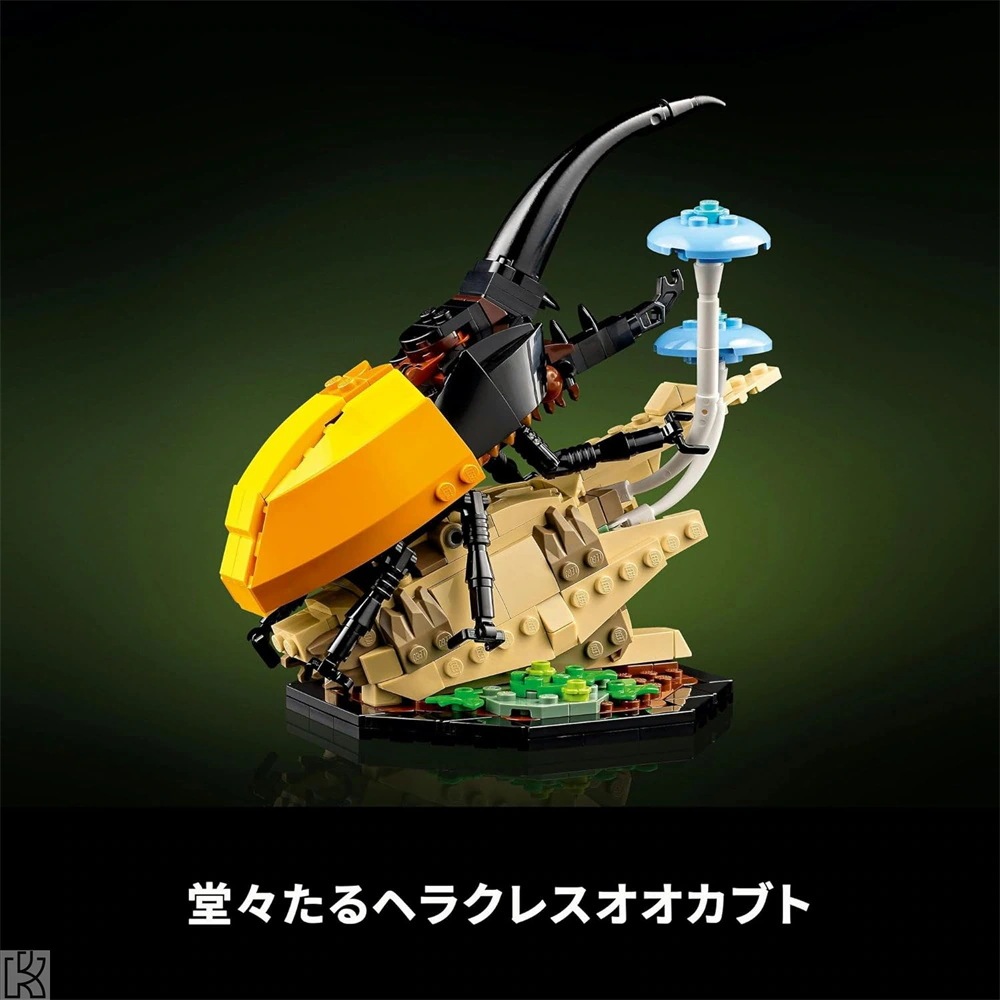 レゴ互換品 昆虫コレクション 21342交換 アイデア おもちゃ ブロック プレゼント インテリア 模型 男の子 女の子 大人 知育玩具 誕生日 プレゼント ギフト