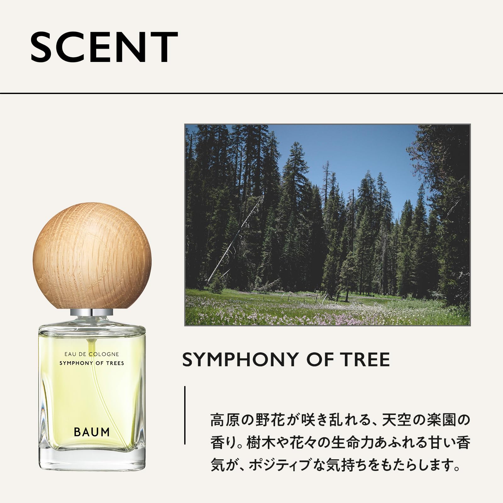 BAUM(バウム) オーデコロン SYMPHONY OF TREES 60mL (x 1) 【公式通販】