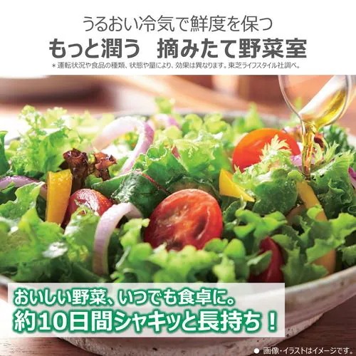 【無料長期保証】【推奨品】東芝 冷蔵庫 461L 観音開き 6ドア 幅65cm 摘みたて野菜室 上質冷凍 ミストチャージ ベジータ GR-Y460FZ ピンク系 【無料長期保証】【推奨品】東芝 冷蔵庫 461L 観音開き 6ドア 幅65cm 摘みたて野菜室 上質冷凍 ミストチャージ ベジータ GR-Y460FZ ピンク系