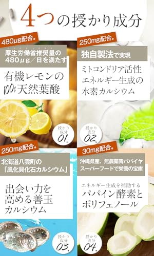 Qoo10] 妊活 サプリ ミトコンドリア 天然 葉酸