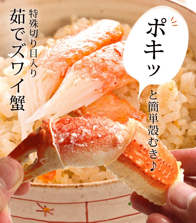 旨茹で&殻むき簡単!特殊カット済み 茹で 本ズワイ蟹 600g ボイルずわい蟹【ギフトのし対応】 旨茹で&殻むき簡単!特殊カット済み 茹で 本ズワイ蟹 600g ボイルずわい蟹【ギフトのし対応】