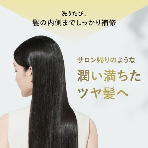 BOTANIST ボタニスト シャンプー トリートメント セット 大容量 詰め替え 【ダメージケア】 BOTANIST ボタニスト シャンプー トリートメント セット 大容量 詰め替え 【ダメージケア】