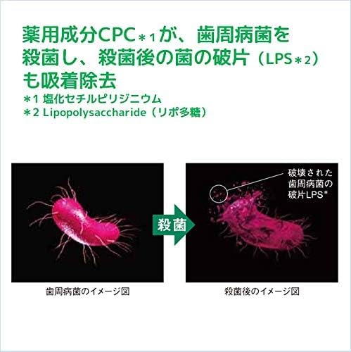 ガム・デンタルペースト スタンディング 120g × 10個セット ガム・デンタルペースト スタンディング 120g × 10個セット