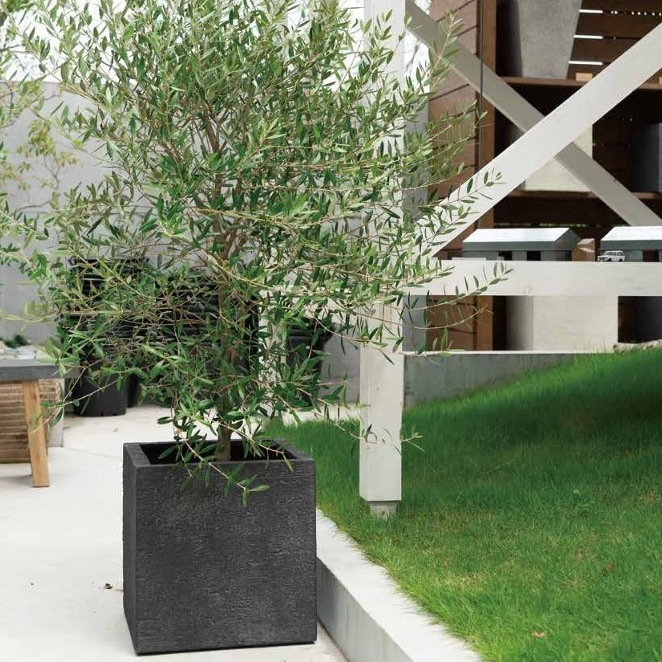 プランター おしゃれ 軽い リガンデキューブS 40cm 13号 底穴あり 正方形 植木鉢 鉢 室内 観葉植物向け プランター おしゃれ 軽い リガンデキューブS 40cm 13号 底穴あり 正方形 植木鉢 鉢 室内 観葉植物向け