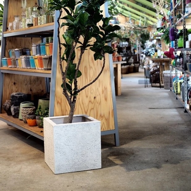 プランター おしゃれ 軽い リガンデキューブS 40cm 13号 底穴あり 正方形 植木鉢 鉢 室内 観葉植物向け プランター おしゃれ 軽い リガンデキューブS 40cm 13号 底穴あり 正方形 植木鉢 鉢 室内 観葉植物向け