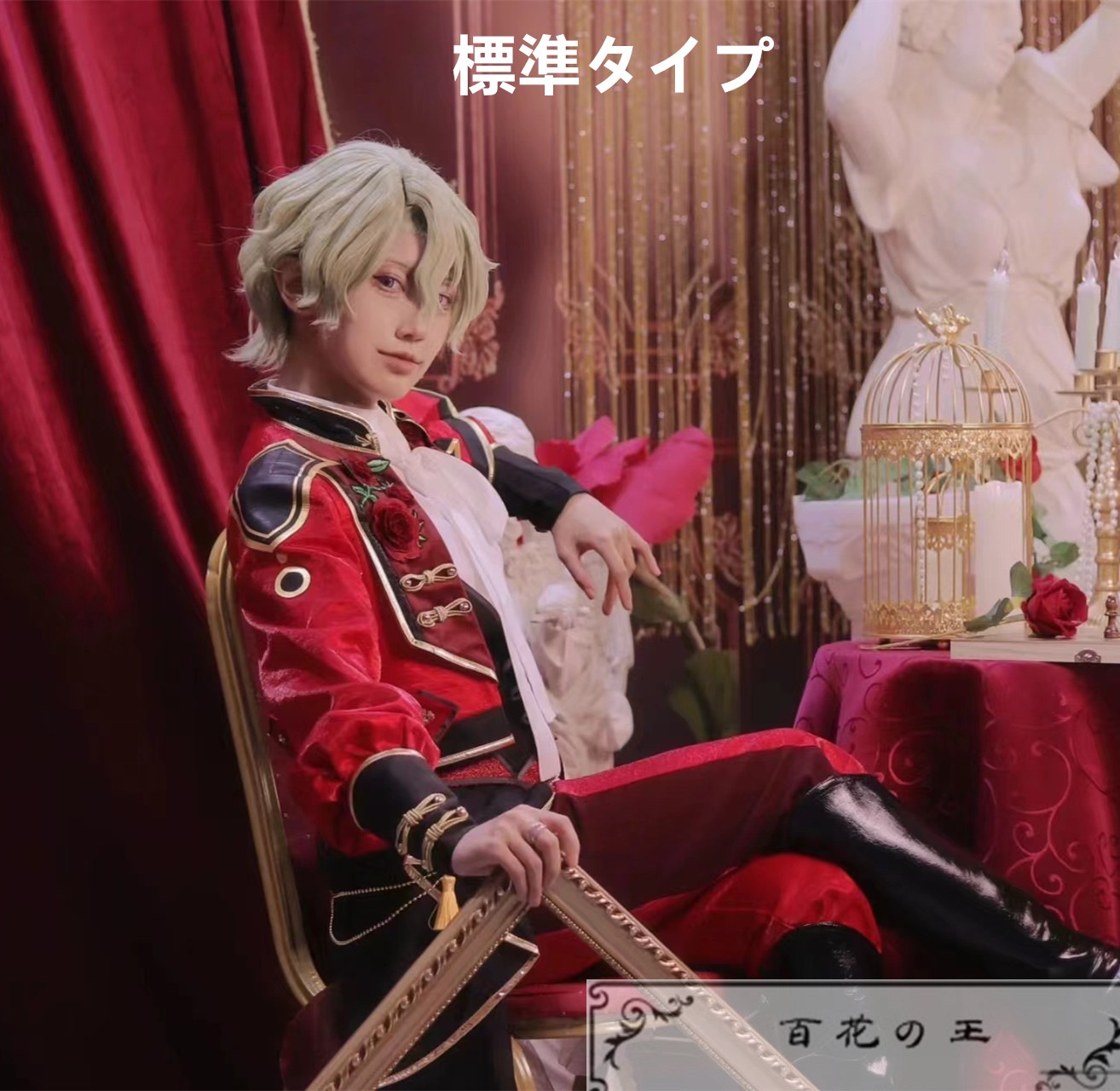 ES あんスタ フィーチャースカウト 日和編2 才能開花後 陽だまりの眼差し 巴日和 コスプレ衣装 コスチューム 標準タイプ 異色タイプ選択可能