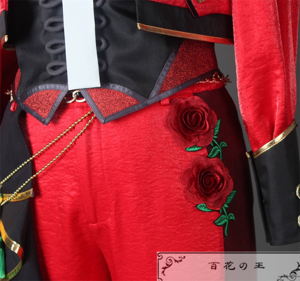 ES あんスタ フィーチャースカウト 日和編2 才能開花後 陽だまりの眼差し 巴日和 コスプレ衣装 コスチューム 標準タイプ 異色タイプ選択可能