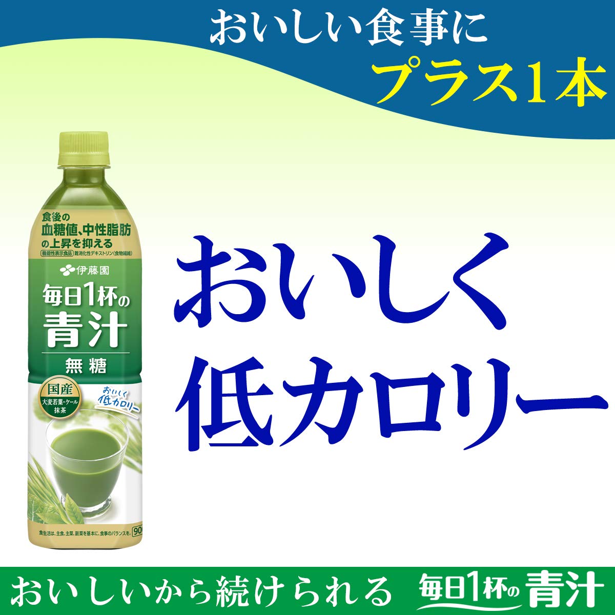 [機能性表示食品] 伊藤園 毎日1杯の青汁 900g ×12本