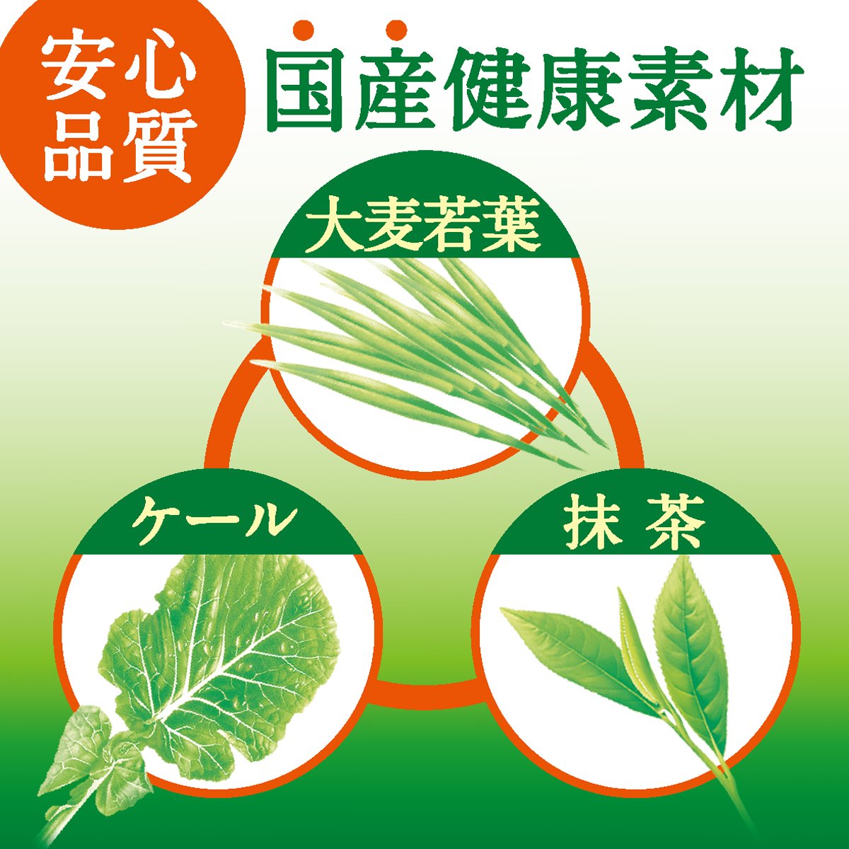 [機能性表示食品] 伊藤園 毎日1杯の青汁 900g ×12本