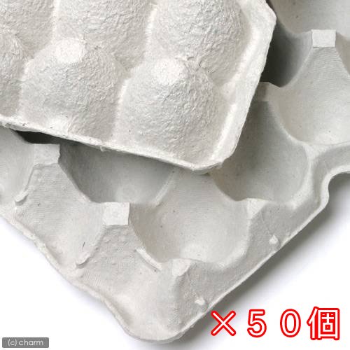 紙製卵トレー　４５X２９ｃｍ　５０枚セット　昆虫　コオロギ　飼育　ハウス　ケース　お一人様１点限り　ＣＲＣ18―35―95―20―00