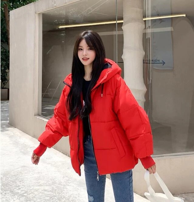 秋冬人気 新しい中綿ダウンジャケット韓国ファッションダウンジャケットアウターダウンコート10 Vcspiscinas Com