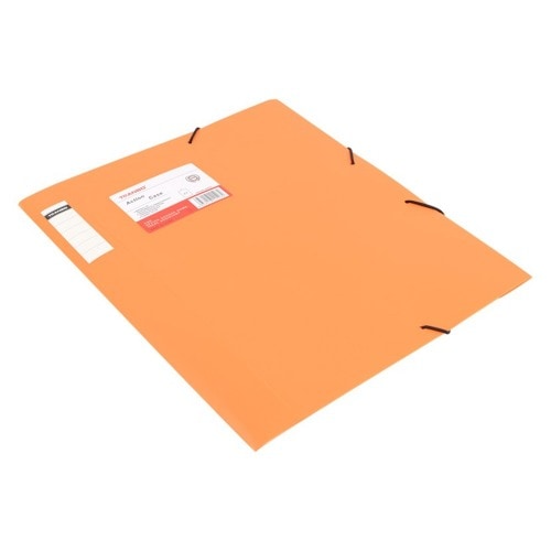 カラーA4クリアファイルケース不透明 カラーランダム 学校オフィス書類文書ファイル整理保管