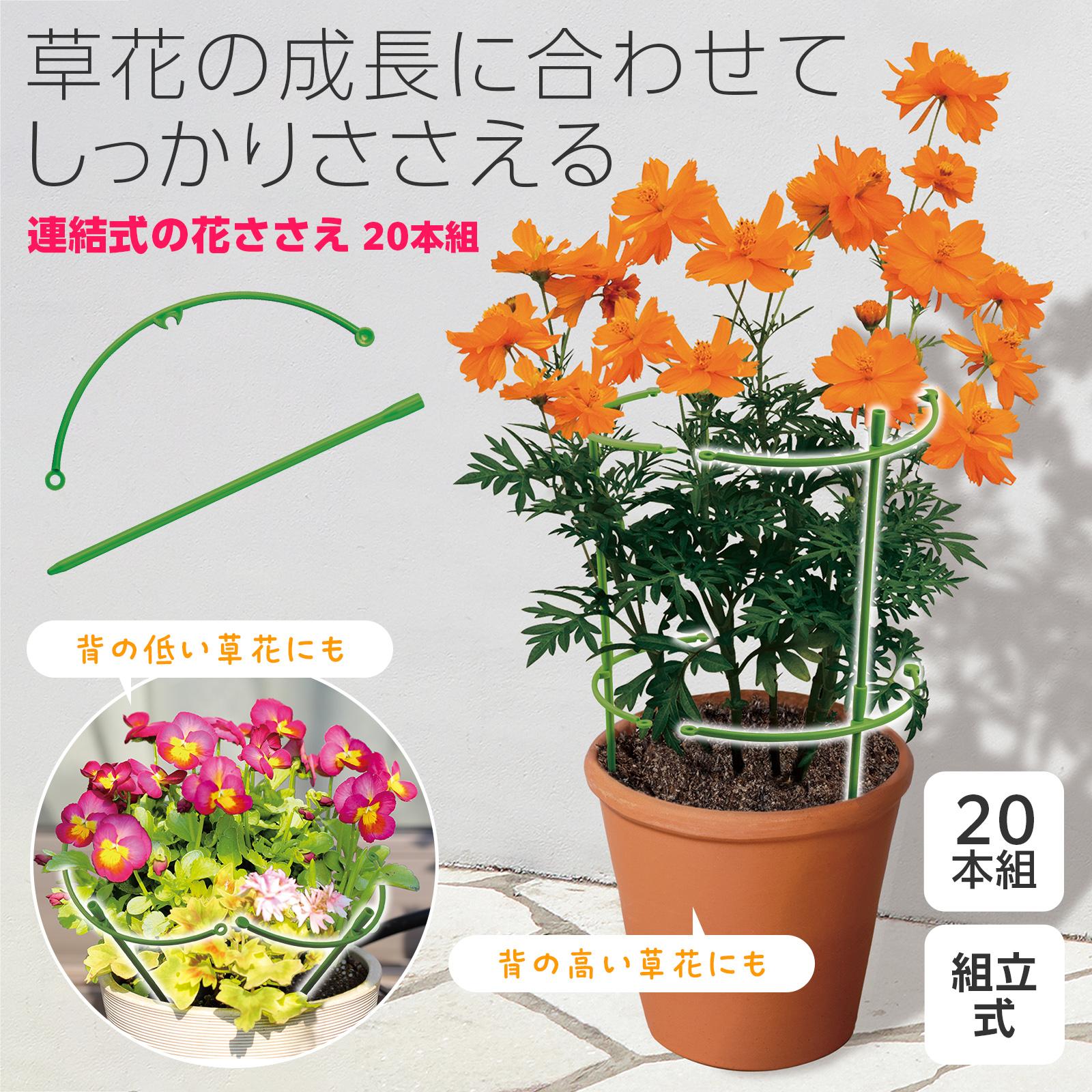 Qoo10] 連結式の花ささえ 20本組 植物支柱 植