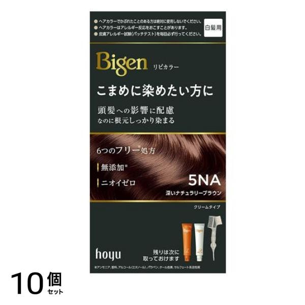 リピカラー 白髪用 5NA 深いナチュラリーブラウン 1組入 10個セット