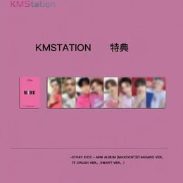 straykids KMS トレカ Stray Kids スキズ KMS ヨントン 特典 トレカ コンプ セット