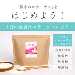 さらさらコラーゲン100（100g） コラーゲン 粉末 潤い 美容 100％コラーゲンパウダー 若々しく 大容量 コラーゲンぺプチド