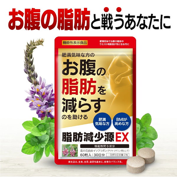 新品未開封 ダイニチ ハイブリッド式加湿器 HD-RXT723E3-WK