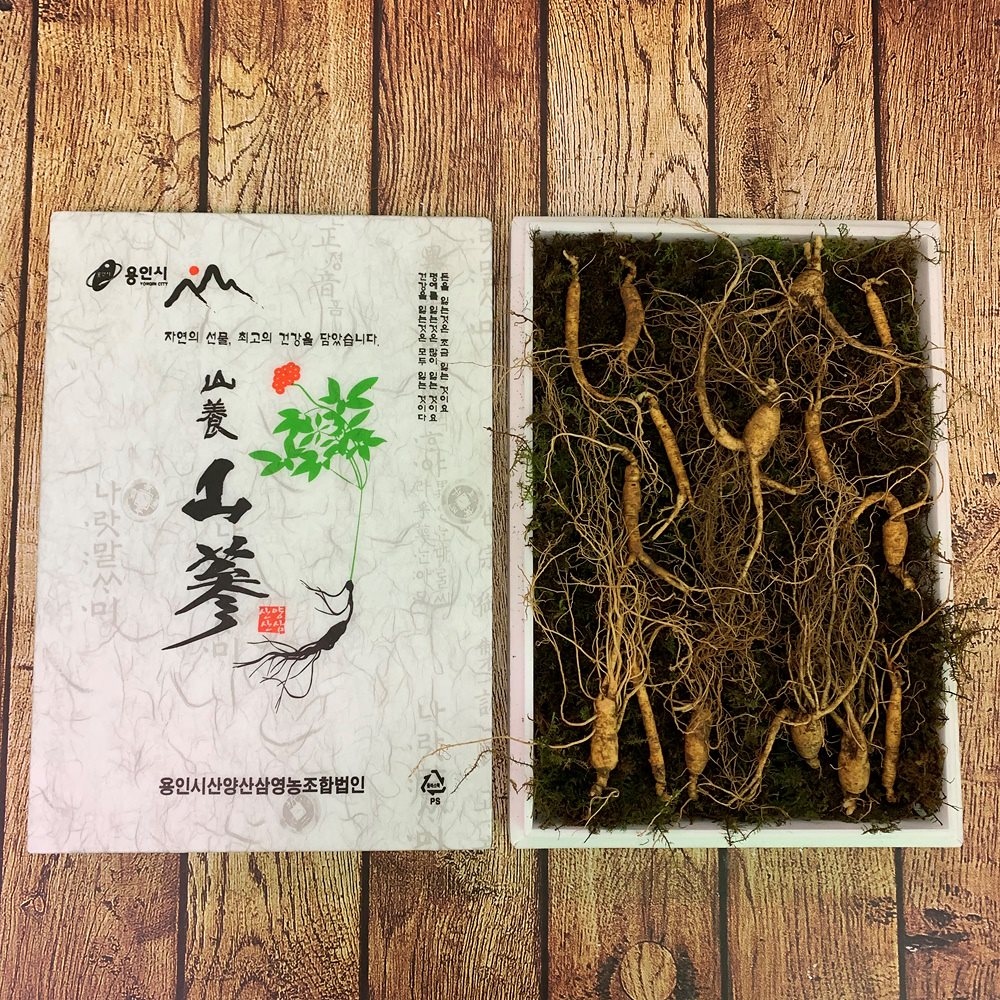 ウイルス対策! 免疫増進セール! 7年なった山蔘 15根