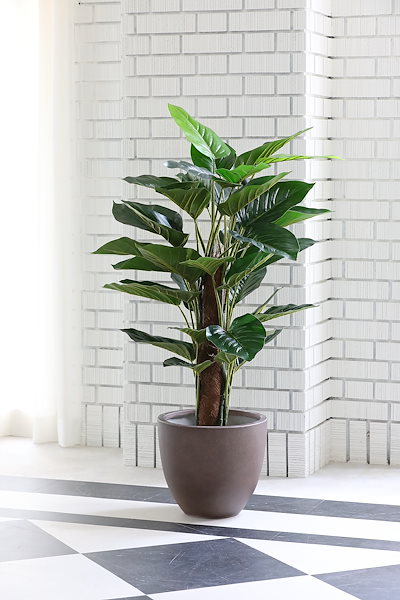 リアルカウスカルヘッド オブジェ 壁掛け 特注ペイント メキシコ