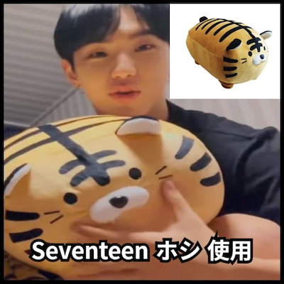 SEVENTEEN ホシ ぬいぐるみ ベイビースンドリ 15㎝ Qoo10] [韓國正品店][Seventeen ホシ