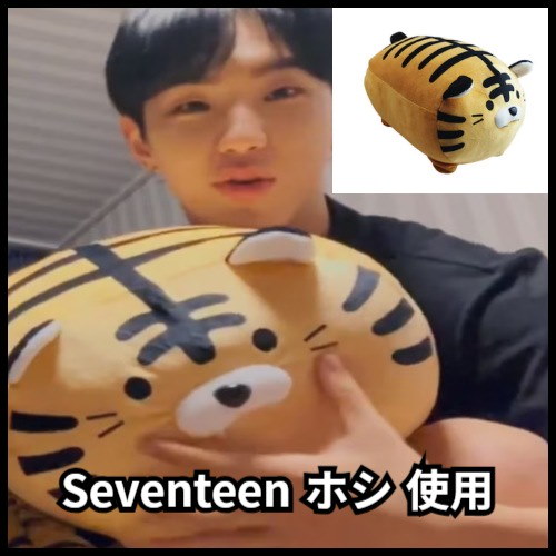 SEVENTEEN - ホシ　ぬいぐるみ ホシ ぬいぐるみ 10cm 新品 マスター セブチ seventeenの通販 by
