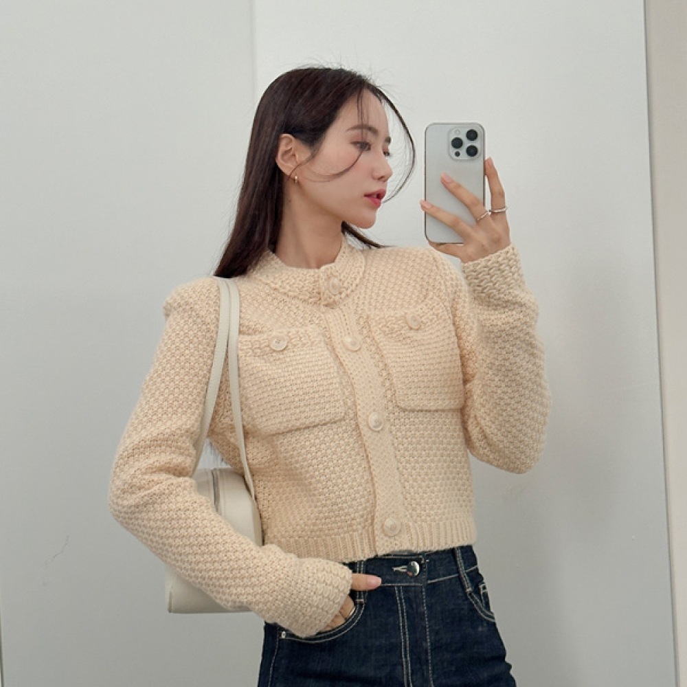 (JSTYLEのイーブレット) イーブレットゲンディオンパデオンニットカーディガン Jスタイル