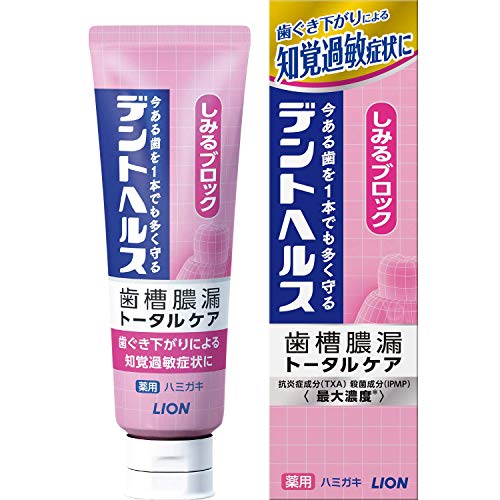 セット販売　ライオン 薬用ハミガキ しみるブロック (85g)×5個セット 歯槽膿漏 トータルケア 歯みがき　医薬部外品