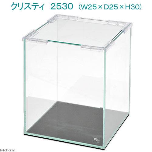 クリスティ　２５３０（Ｗ２５XＤ２５XＨ３０）　ガラス水槽（単体）　小型水槽　お一人様５点限り　ＣＲＣ10―11―01―20―00