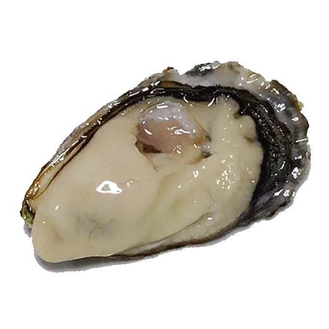 殻付2kg+むき身500ｇ　産地新鮮直送　今期販売4月30日まで　当日注文で翌日発送　生食OK 　代引不可