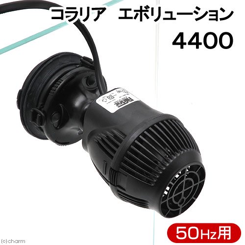 コラリア　エボリューション　４４００　５０Ｈｚ（東日本用）　サーキュレーター　海水魚　サンゴ　水流　ウェーブポンプ　水流ポンプ　ＣＲＣ10―35―65―20―10 11,106円