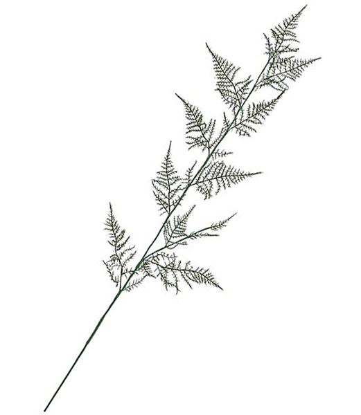 本物の [ONSLESP7473]フェイク 人工観葉植物 フラワー 造花 アスパラガススプレイ グリーン アレンジメント フラワー 資材 観葉植物