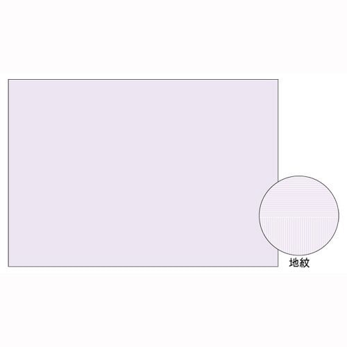 A3 コピー判別用紙 大入り BP2111Z 00008911 11,108円