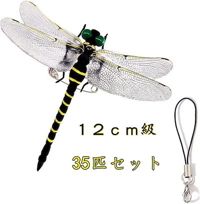 天野タケル　限定　スケートボード　ED200 少量 Amazon | 天野タケル 限定 スケートボード ED200 | ノーブランド